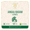 Seekanapalli Organics Jangali Badam 300 gram