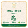 Seekanapalli Organics Jangali Badam 100 gram