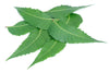 Seekanapalli Organic Neem Leaves 100g Unflavoured Herbal Tea Pouch 100 gram