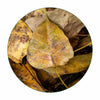 Seekanapalli Organics Peepal Leaves 300 gram